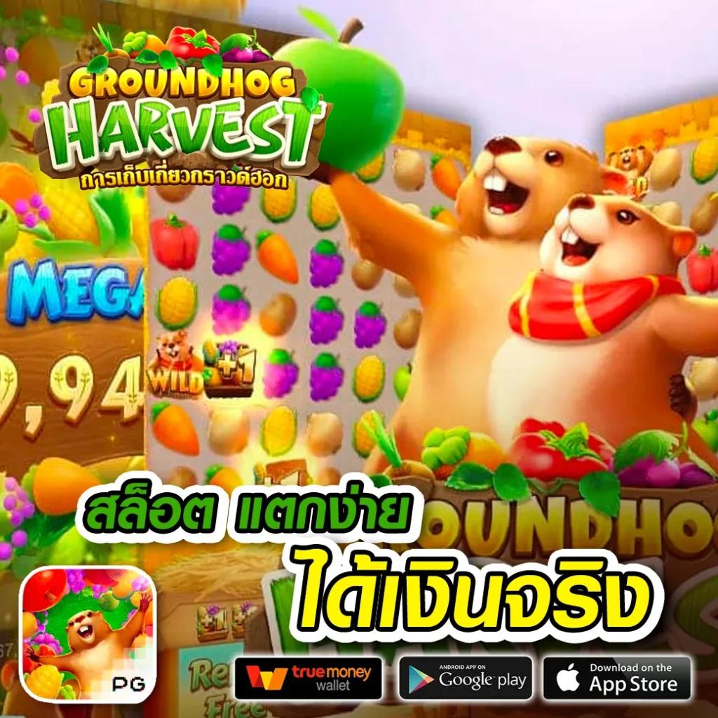 win123 เว็บตรง สล็อต ฝากถอนออโต้ ไม่ผ่านเอเย่นต์ 2026